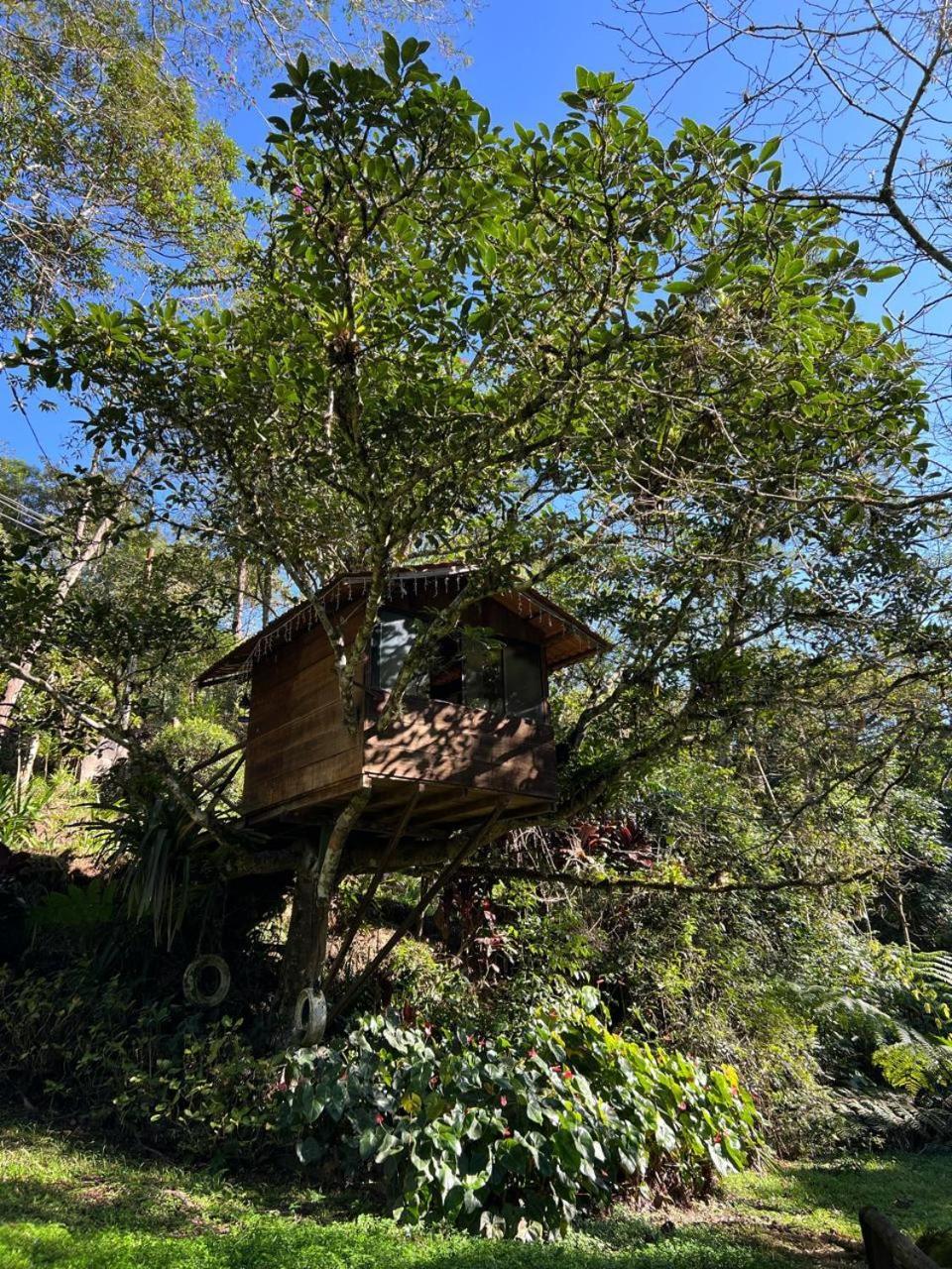 Pousada Sitio E Poesia Teresópolis Buitenkant foto