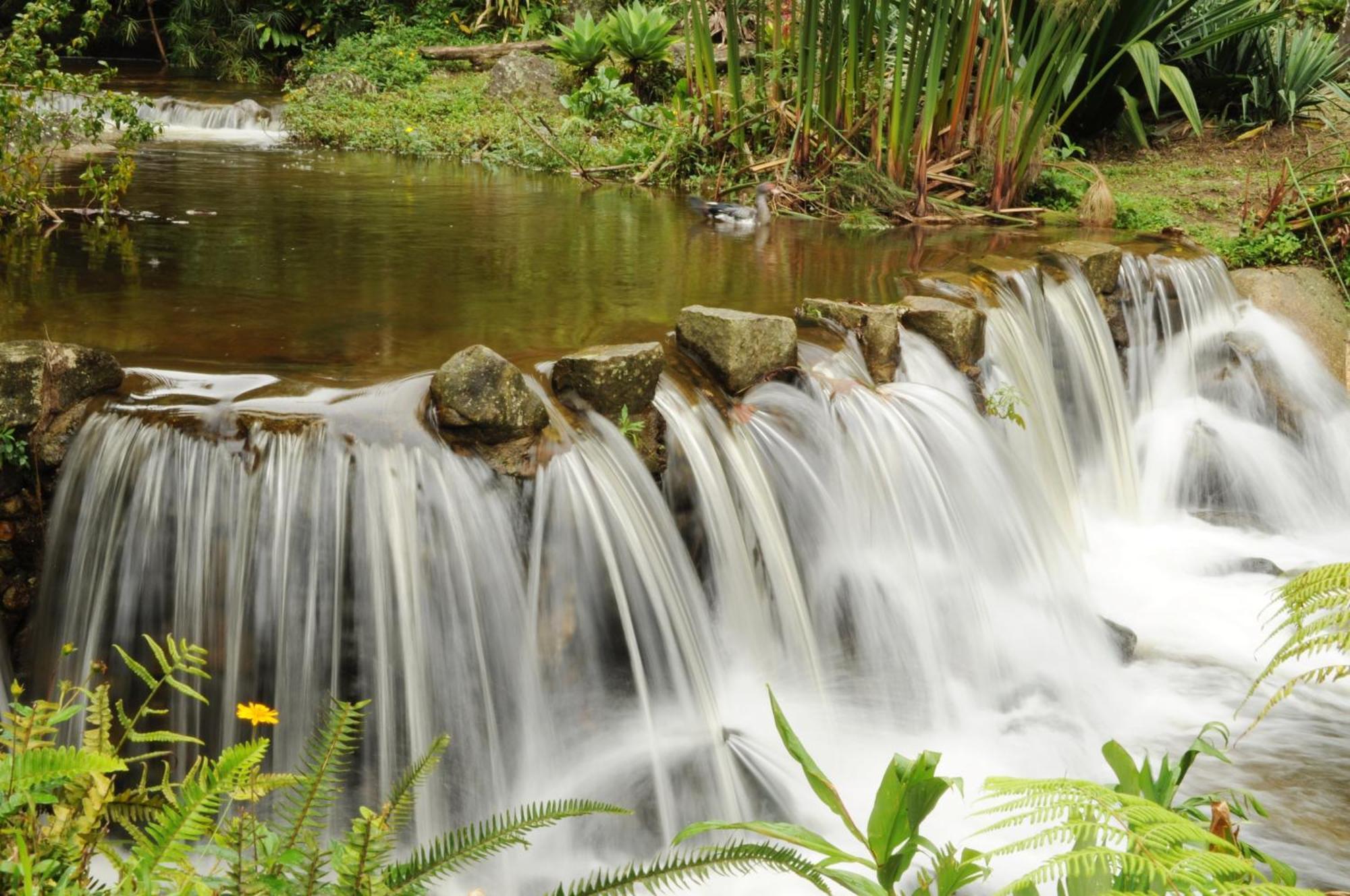 Pousada Sitio E Poesia Teresópolis Buitenkant foto
